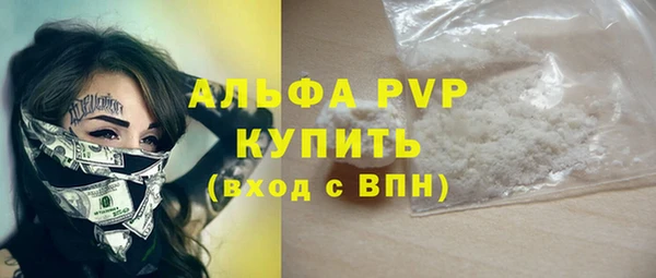 стафф Новозыбков