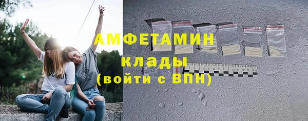 эйфоретик Няндома