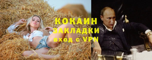 эйфоретик Няндома