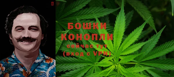 эйфоретик Няндома