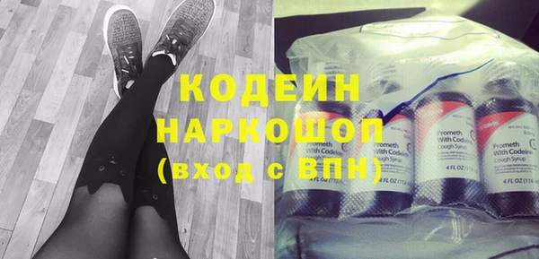 эйфоретик Няндома