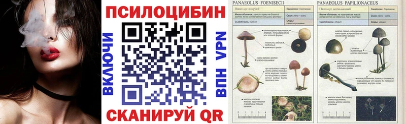 закладка  Курган  Галлюциногенные грибы ЛСД 