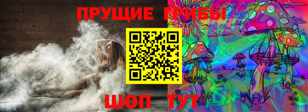 Псилоцибиновые грибы GOLDEN TEACHER  Псилоцибиновые грибы Cubensis  Курган  Вход с VPN 