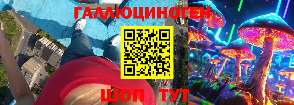 Галлюциногенные грибы мухоморы Курган