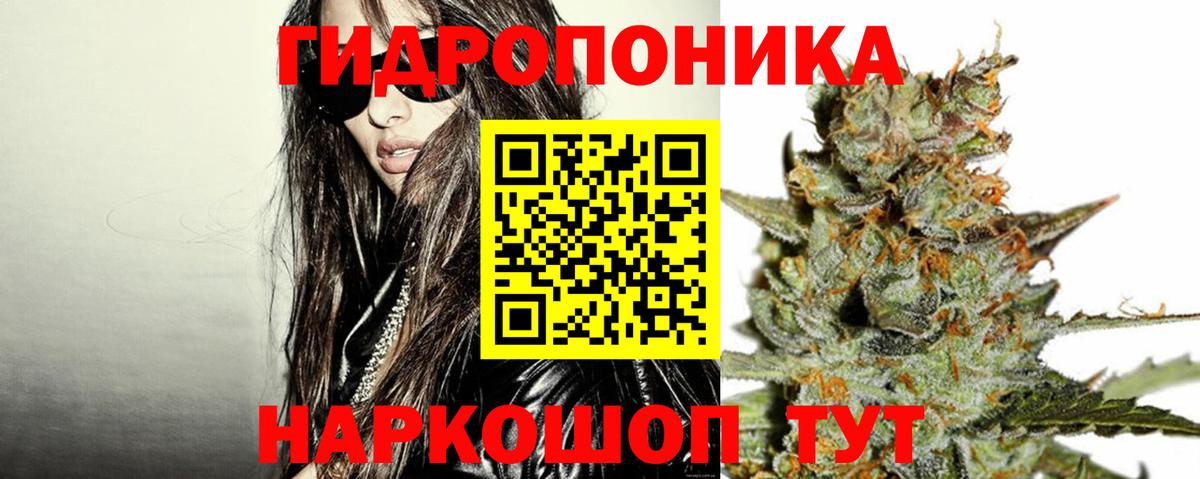 Конопля OG Kush  Бошки Шишки MAZAR  Курган  Вход с VPN  Каннабис семена 